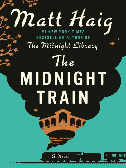 Cover image for The Midnight Train